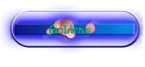 Innocoll Partner Biovirtus