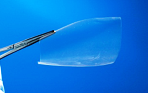Innocoll Dental Hemostat Film